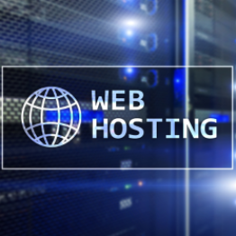 Website Hosting